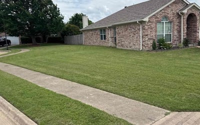 Photo of Amalia L.'s yard after getting lawn care in Burleson, TX