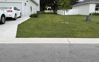 Photo of Isaac F.'s yard after getting lawn care in Bartow, FL
