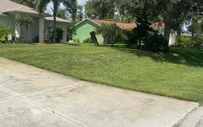 Photo of Jasmine N.'s yard after getting lawn care in Great Neck, NY
