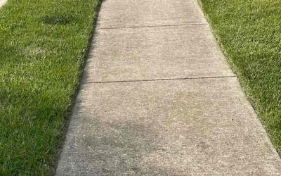 Photo of Danny R.'s yard after getting lawn care in Wood River, IL