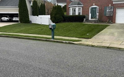 Photo of Saphira P.'s yard after getting lawn care in Deptford, NJ