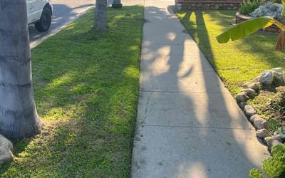 Photo of Claudia T.'s yard after getting lawn care in Bellflower, CA