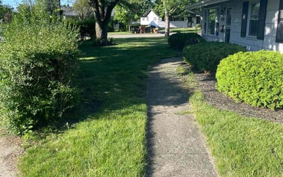 Photo of Alina B.'s yard after getting lawn care in West Chicago, IL