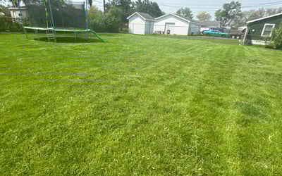 Photo of Dartanya D.'s yard after getting lawn care in Evergreen Park, IL