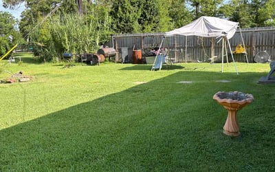 Photo of Luis H.'s yard after getting lawn care in Burleson, TX