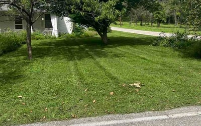 Photo of Mindy G.'s yard after getting lawn care in Cantonment, FL