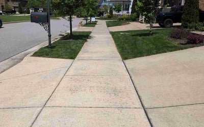 Photo of Chris T.'s yard after getting lawn care in Cary, NC