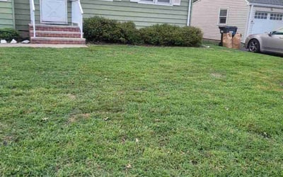 Photo of Marissa L.'s yard after getting lawn care in Randolph, NJ