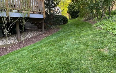 Photo of Monica L.'s yard after getting lawn care in Reston, VA