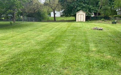 Photo of Rachel G.'s yard after getting lawn care in Covington, KY