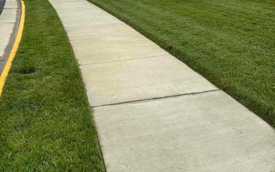 Photo of Steve B.'s yard after getting lawn care in Loudon, TN