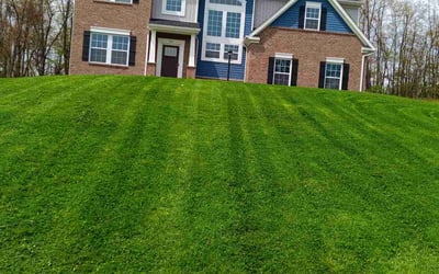 Photo of Denise H.'s yard after getting lawn care in Youngstown, PA