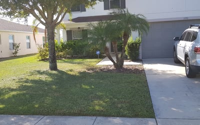 Photo of Joseph C.'s yard after getting lawn care in Tavares, FL