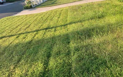Photo of charles l.'s yard after getting lawn care in Reseda, CA