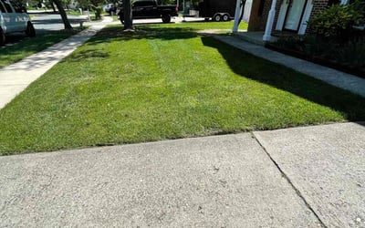 Photo of Frances A.'s yard after getting lawn care in Fort Washington, MD