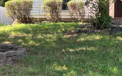 Photo of Andrea L.'s yard after getting lawn care in Clarkston, MI