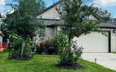 Photo of Paul M.'s yard after getting lawn care in Gulfport, MS