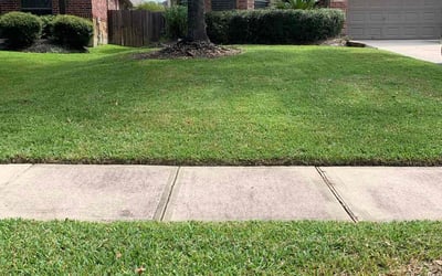 Photo of William W.'s yard after getting lawn care in Fishkill, NY