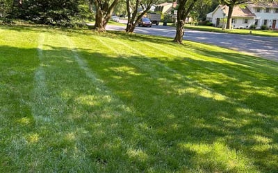 Photo of Troy H.'s yard after getting lawn care in Lancaster, PA