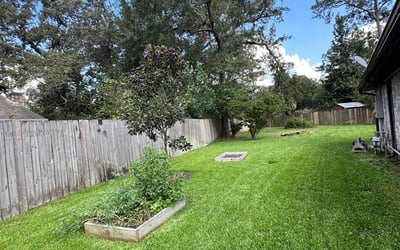 Photo of Shawanna J.'s yard after getting lawn care in Humble, TX