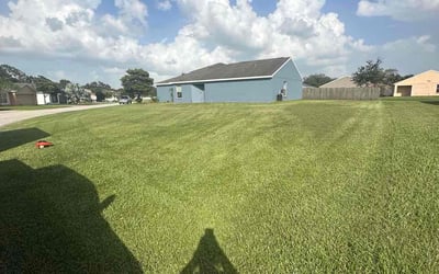 Photo of Erin C.'s yard after getting lawn care in Rockville, MD