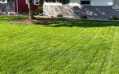 Photo of Erica M.'s yard after getting lawn care in Papillion, NE