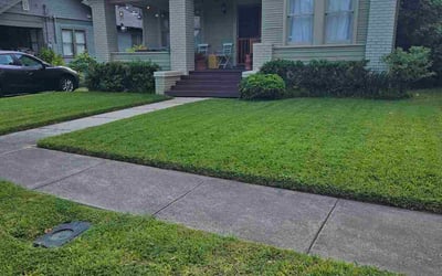 Photo of Nashaly N.'s yard after getting lawn care in Fernandina Beach, FL