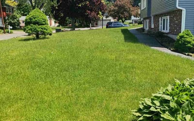 Photo of Anthony P.'s yard after getting lawn care in Manchester, NH