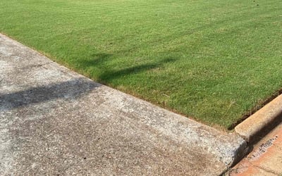Photo of Alida W.'s yard after getting lawn care in Covington, TN