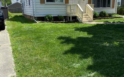 Photo of Mikia L.'s yard after getting lawn care in Berkley, MI