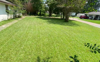 Photo of Sarah W.'s yard after getting lawn care in Walker, LA