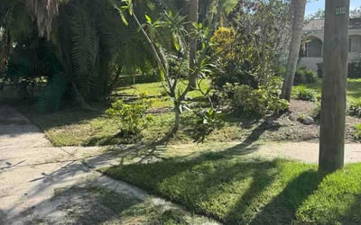 Photo of Cozy A.'s yard after getting lawn care in Spring Valley, CA