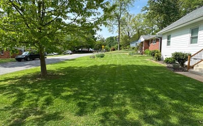 Photo of Robin G.'s yard after getting lawn care in Marshall, NC