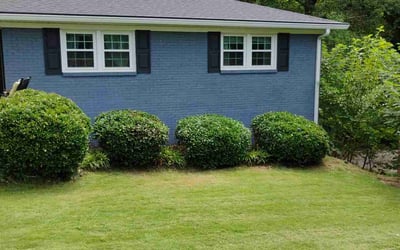Photo of Courtney O.'s yard after getting lawn care in Mauldin, SC