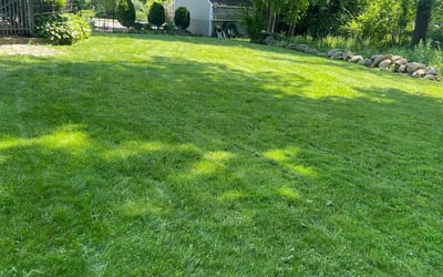 Photo of Ken S.'s yard after getting lawn care in Norwood, MA