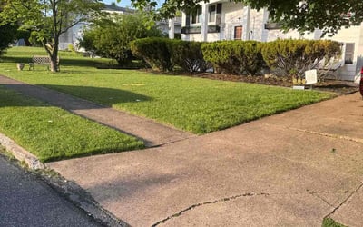 Photo of Pamela H.'s yard after getting lawn care in Rockport, TX