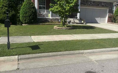Photo of Louis P.'s yard after getting tree care in Youngsville, NC