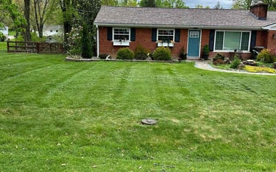 Photo of Ladonna C.'s yard after getting lawn care in North Little Rock, AR