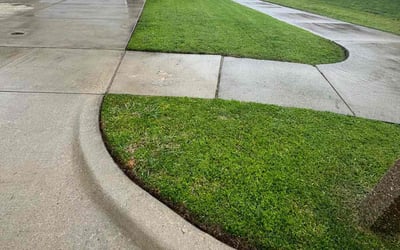 Photo of Lindsay G.'s yard after getting tree care in Scottsdale, AZ