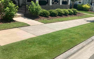 Photo of Kristin D.'s yard after getting lawn care in Durham, NC