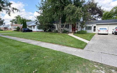 Photo of David J.'s yard after getting lawn care in Wyandotte, MI