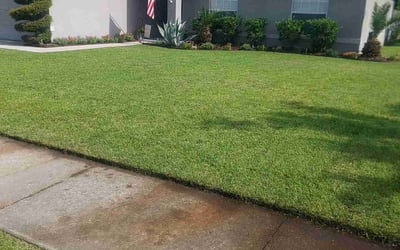 Photo of Madison S.'s yard after getting lawn care in Holden, MA