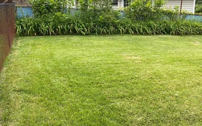Photo of James N.'s yard after getting lawn care in Baldwin, PA