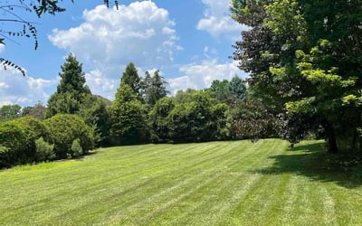 Photo of Kevin W.'s yard after getting lawn care in Matthews, NC