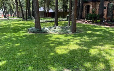 Photo of Nicole M.'s yard after getting lawn care in Renton, WA