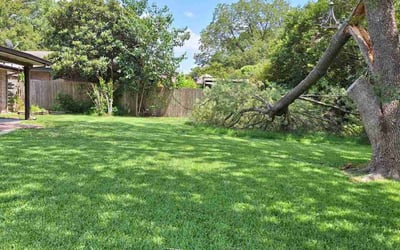 Photo of James B.'s yard after getting lawn care in Charlotte, NC