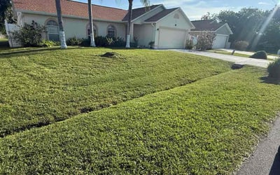 Photo of Kiarash R.'s yard after getting lawn care in Chandler, AZ