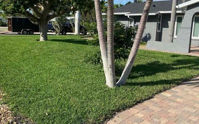 Photo of Greg M.'s yard after getting lawn care in Fort Myers Beach, FL