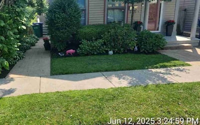 Photo of Amy R.'s yard after getting lawn care in Loris, SC
