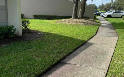 Photo of Jeannette H.'s yard after getting lawn care in Mulberry, FL